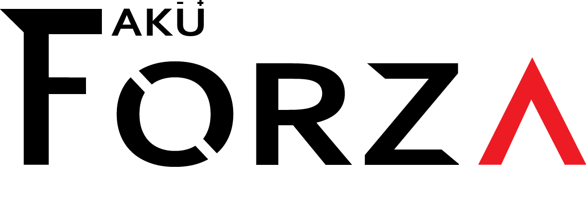 Forza Akü