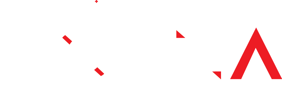 Forza Akü